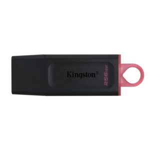 PEN DRIVE 256GB KINGSTON DTX EXODIA