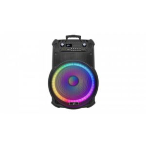 PARTY SPEAKER WINTECH KARGA MAX 160W